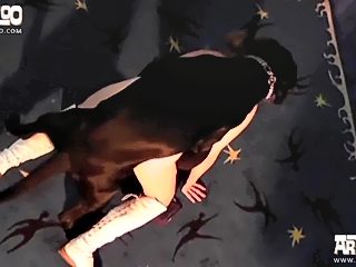 Woman dog porn