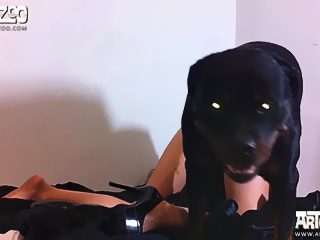 Girl fuck by dog