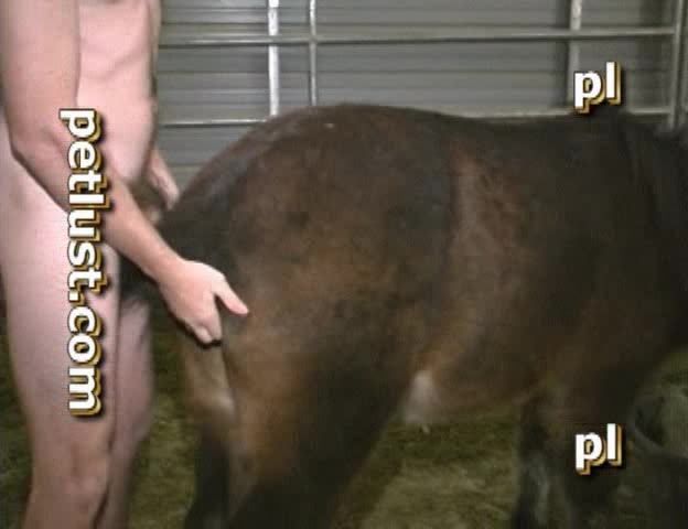 Men and mares bestiality porn compilation