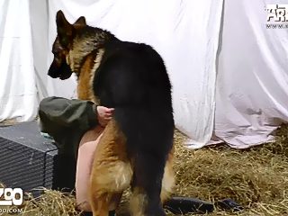 Zoo farm sex