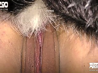Animal farm porn