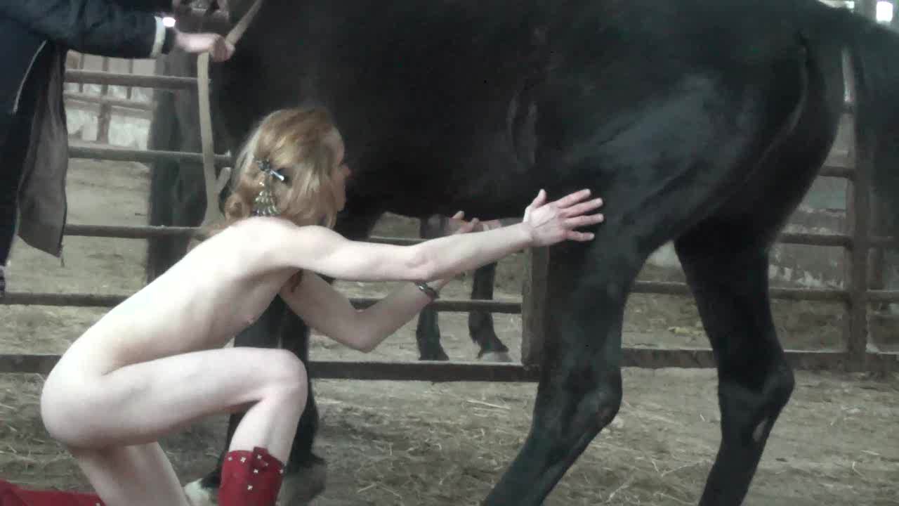 Horse farm sex