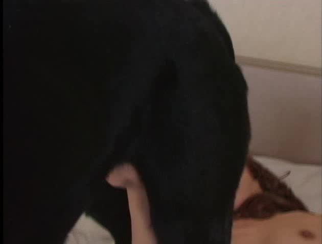 Porn zoo asian videos
