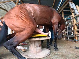 Horse cums in girl