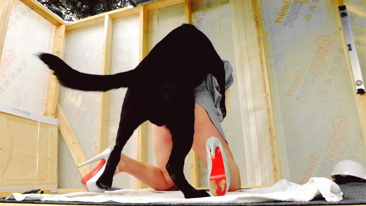 Zoo xxx compilation