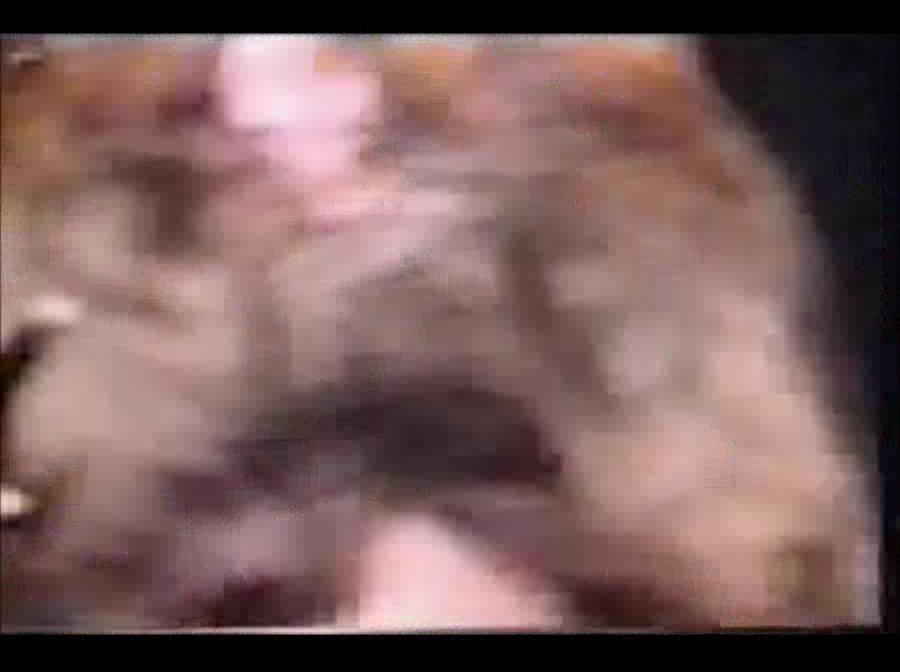 porno with animals
