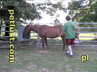Male bestiality videos